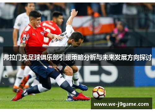 弗拉门戈足球俱乐部引援策略分析与未来发展方向探讨 弗拉门戈足球俱乐部引援策略分析与未来发展方向探讨