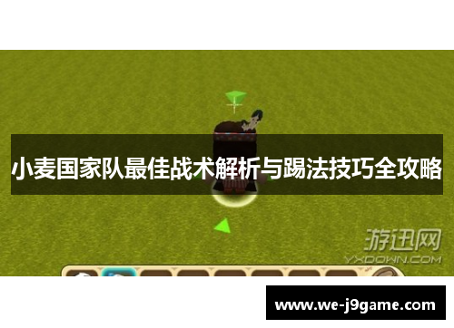 小麦国家队最佳战术解析与踢法技巧全攻略