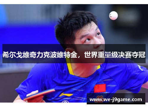 希尔戈维奇力克波维特金，世界重量级决赛夺冠