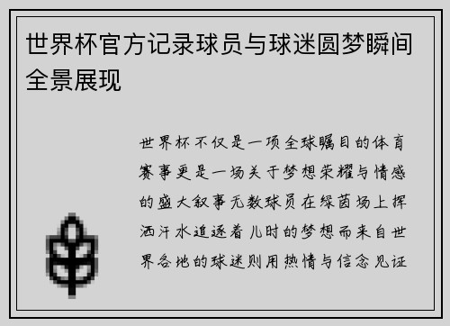 世界杯官方记录球员与球迷圆梦瞬间全景展现 世界杯官方记录球员与球迷圆梦瞬间全景展现